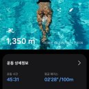 핀데이
