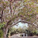 선흘1리경로당 이미지