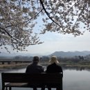 만경강뚝방길손칼국수 이미지