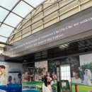 차차차휴게소 | [포항/1박2일] &#39;갯마을 차차차&#39; 촬영지 다녀온 후기