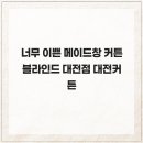 6490 | 너무 이쁜 메이드창 커튼 블라인드 대전점 대전커튼