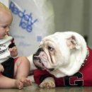 다우동물병원 이미지