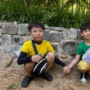 압해초등학교 이미지