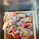 팔도대게 | 영금정맛집 찾는다면 꼭 가봐야 할 속초팔도대게 후기