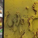 대구인지초등학교 이미지