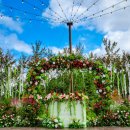 디바인밸리 이미지