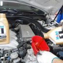 골드모터스 이미지