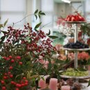 마레파티하우스 이미지