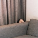 에버랜드 가족 숙소 용인 더 숨 포레스트 호텔(빌라) 추천 후기