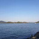 전동숲
