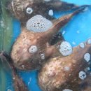 밀 모텔 이미지