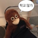 앨리맥주 네이버블로그