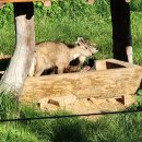 서울숲 습지생태원 화장실 | 국립서천생태원 에코리움 교육생태관숙소 예약방법 준비물