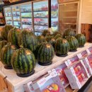 한라청과 이미지