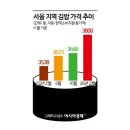 대명사