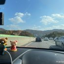 더불어사는터 이미지