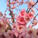 하동농장 이미지