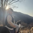 한독스포츠클럽(실내) | 부산 정관 바모스 승마클럽 체험 후기｜부산 최대 실내승마장 데이트·아이체험 추천