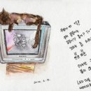 콩콩이