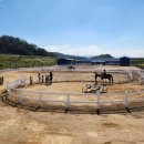 함안 승마장 이미지