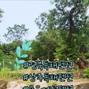 우복동편백펜션 이미지