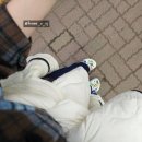 양재화훼공판장 화장실 | 양재 꽃시장 처음 간다면? 화훼공판장 방문 가이드 🪴