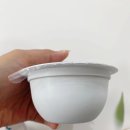 위닝푸드 이미지