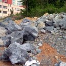 덕산아파트 앞 이미지