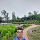 장미원 당구장 이미지