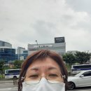 숲길 걷기 동아리 활동 이미지