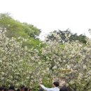 해미읍성황토펜션 이미지