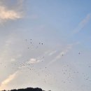 노을이아름다운펜션 이미지