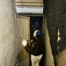 써니당구 이미지