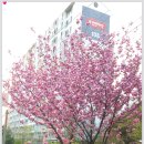 성불사길 이미지