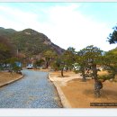 두리조경 이미지