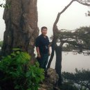 장영기 농장 이미지