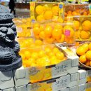 고사농장 이미지