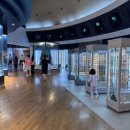 반디랜드 곤충박물관 전시실 이미지