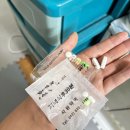 곰수산회포차 | 9월 일상 몰아보기