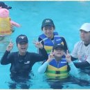용인대 참사랑 태권도 네이버블로그