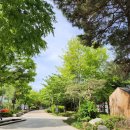 문정근린공원 이미지