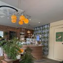 FULL MOON | 봉담 카페, 풀문 Fullmoon 조용한 분위기 카페 방문 후기