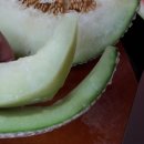 더봄푸드 | [후기]고당도 머스크 멜론은 더봄푸드에서 맛있게 먹어요~^^