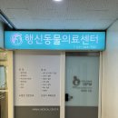 행신동물병원 | [동물병원 추천] 고양시 동물병원 강추 행신동물의료센터 내돈내산 후기