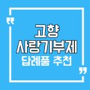 합리적 소비와 절세 전략 | 고향사랑기부제 답례품 추천 | 지역별 BEST 리스트 총정리