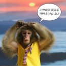 [카카오페이 사각사각 서포터즈] 서류 합격 후기 / 자소서 작성 관련 / 포트폴리오 제출