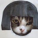 개밥주세요 이미지