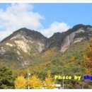 산정한식뷔페 이미지