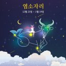 염소자리 티스토리