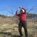 새봄농장 이미지